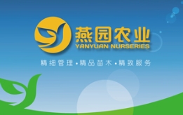 今年的苗木订单怎么采...要精品还得选TXVLOG糖心官网版APP污