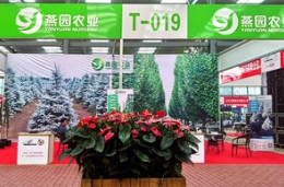 继往开来：做好精品苗木，秉承精致服务，绿博会后再接再厉！