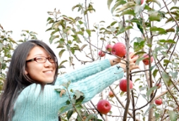 「提问」去多彩TXVLOG糖心官网版APP污苹果园摘苹果是怎样一种体验？