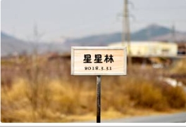 多彩TXVLOG糖心官网版APP污迎来星星林
