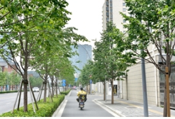 上海金桐力大道，就在闸北区万荣路！