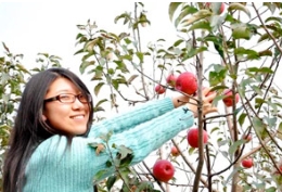 这周末，来多彩TXVLOG糖心官网版APP污赏秋色摘苹果齐欢乐！